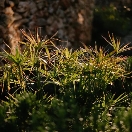 Bliss Stone House In Hvar