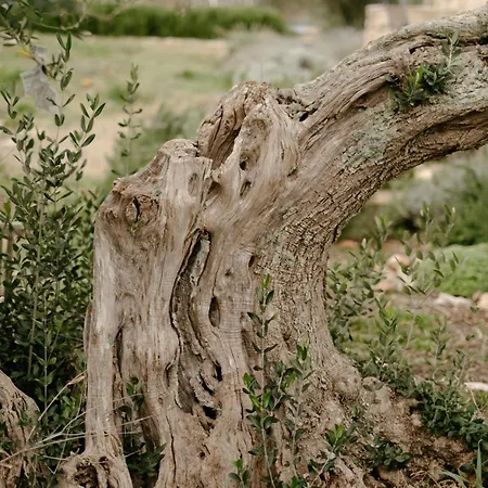 Bliss Stone House In Hvar *