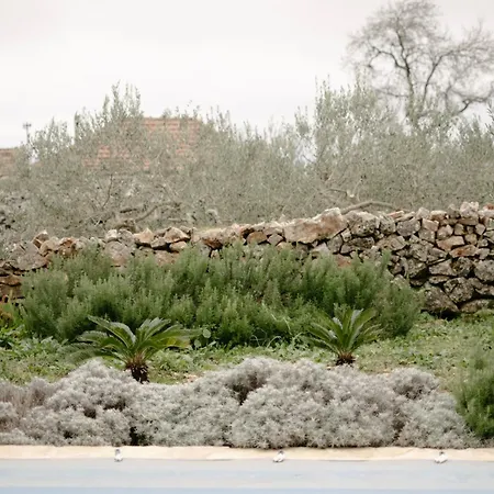 Bliss Stone House In Hvar Gdinj